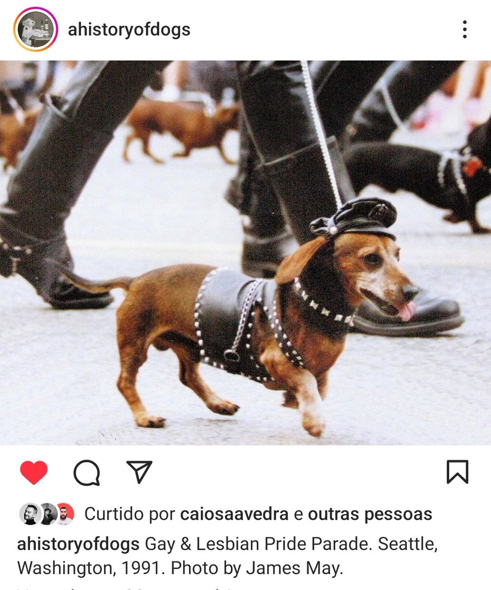 _renanguerra's tweet image. essa é a melhor foto do mundo, eu preciso de uma camiseta com essa imagem