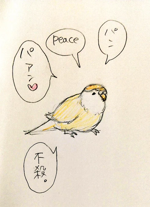 オウムとインコの日④ もはやインコに見えない #dcst 