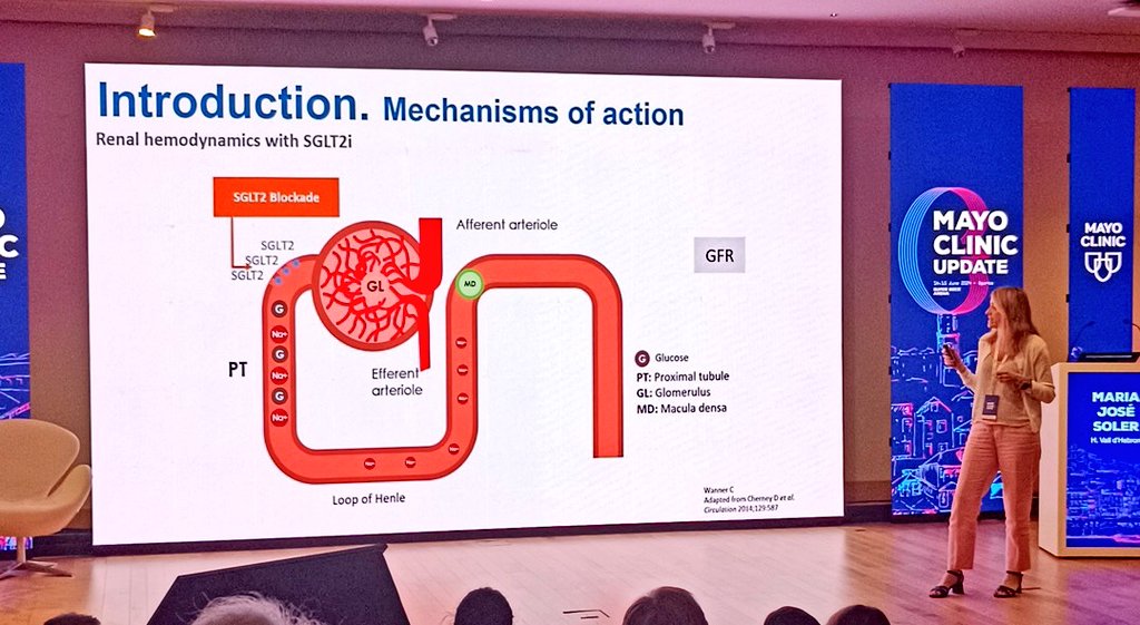 Francisco Gonçalves (@franciscopgonc) on Twitter photo What a joy to hear <a href="/PepaSolerR/">Maria Jose Soler</a> on SGLT2i, this time on my hometown of Porto! 🙌 From public health and basic science to clinical expertise 🧠 "reunion" with <a href="/NefrologiaVH/">Nefrologia Hospital Universitari Vall d'Hebron</a> 🤗 on an amazing initiative by #IPOPorto and <a href="/MayoClinicNeph/">Mayo Clinic Nephrology</a> and sponsored bye <a href="/SPNefro/">Sociedade Portuguesa de Nefrologia</a> 🫘🫘🫘 What a joy to hear <a href="/PepaSolerR/">Maria Jose Soler</a> on SGLT2i, this time on my hometown of Porto! 🙌 From public health and basic science to clinical expertise 🧠 "reunion" with <a href="/NefrologiaVH/">Nefrologia Hospital Universitari Vall d'Hebron</a> 🤗 on an amazing initiative by #IPOPorto and <a href="/MayoClinicNeph/">Mayo Clinic Nephrology</a> and sponsored bye <a href="/SPNefro/">Sociedade Portuguesa de Nefrologia</a> 🫘🫘🫘