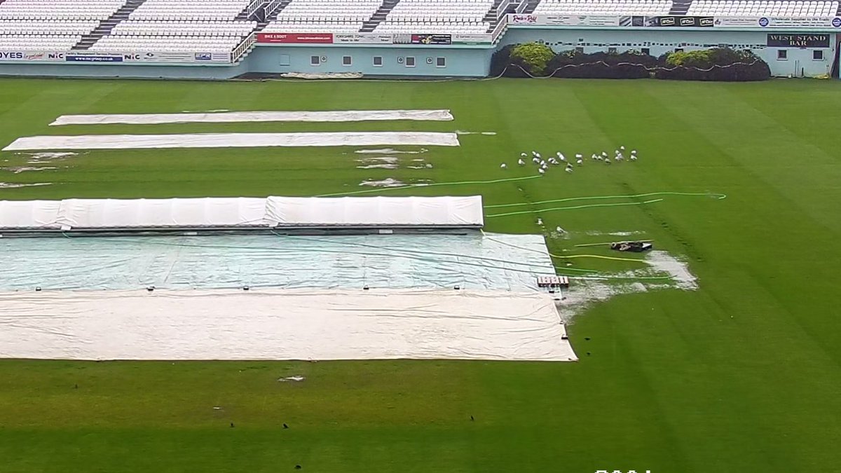 JOHN DODDS tweet media