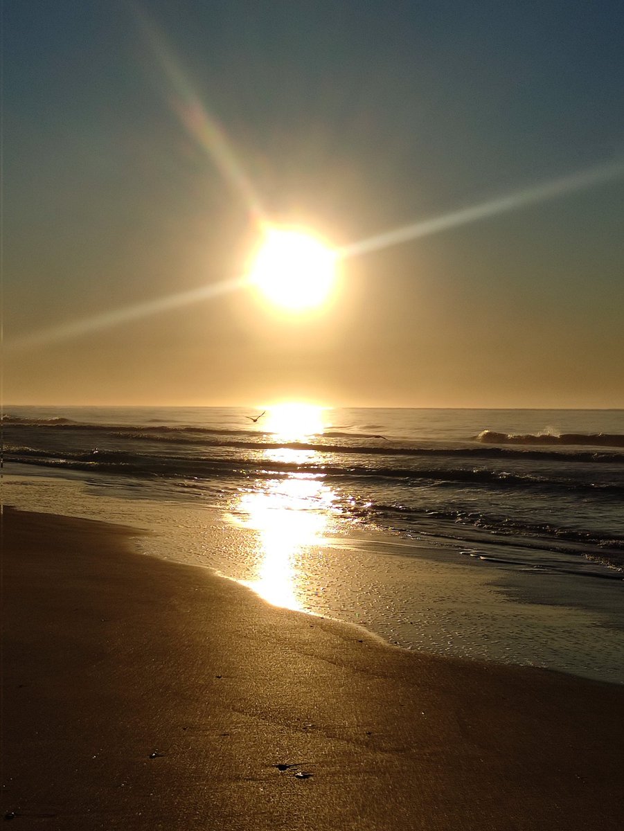 peterpinamar tweet picture