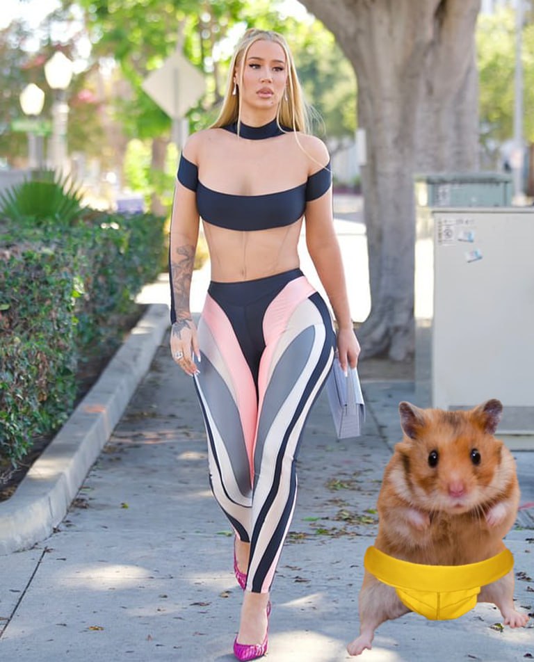 fadeforestfx's tweet photo. @HuboSolana $HUBO x $MOTHER 

@IGGYAZALEA https://t.co/tant0qv7Fv
