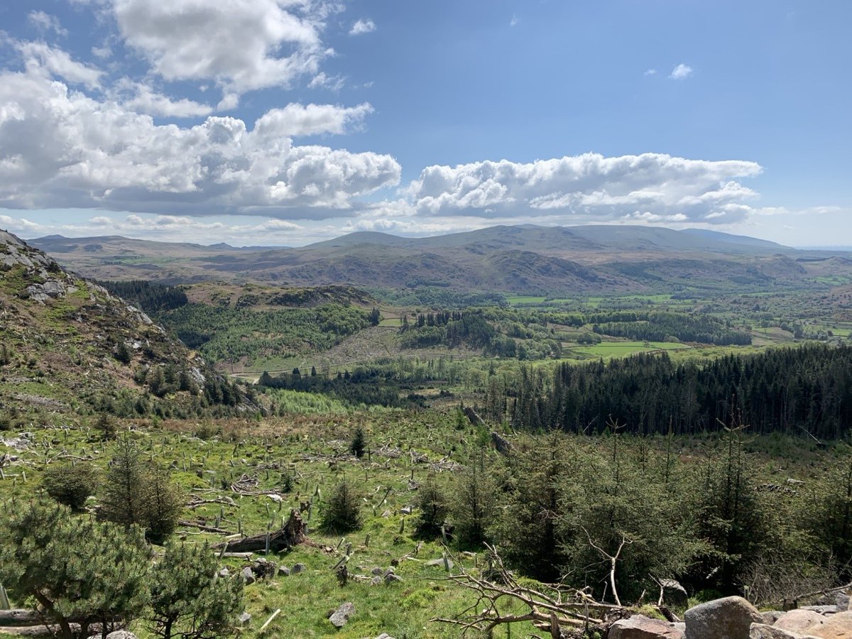 Exciting new job opportunities working with <a href="/UniversityLeeds/">University of Leeds</a> <a href="/ForestryEngland/">Forestry England</a> &amp; <a href="/nationaltrust/">National Trust</a> helping to restore nature in Miterdale in the Lake District National Park #SpeciesSurvivalFund | Deadline 12th July  | Funded by <a href="/DefraGovUK/">Defra UK</a> <a href="/HeritageFundUK/">The National Lottery Heritage Fund</a> 
jobs.leeds.ac.uk/Vacancy.aspx?r…