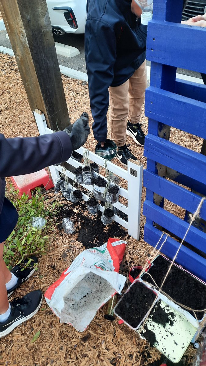 LearnerEducator's tweet photo. A work in progress... but my grade 7s and I have enjoyed learning about agricultural innovations, upcycling, and urban horticulture while designing our vertical gardens 😊

Love that this is in the Aussie curriculum, and would love to bring this back to Canada. https://t.co/dMfcgsgGKG