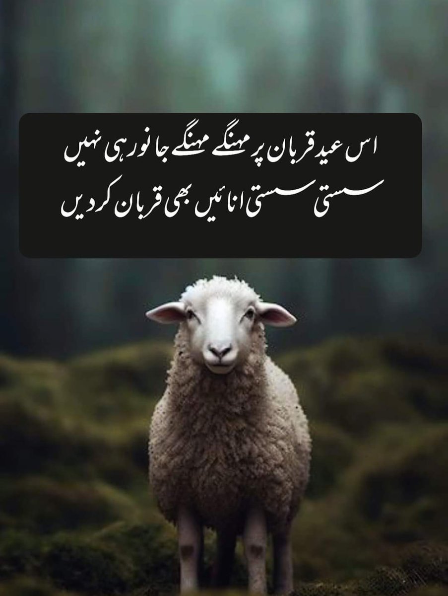 TZM_Zamzama's tweet photo. https://t.co/ml0eMwzJ5i