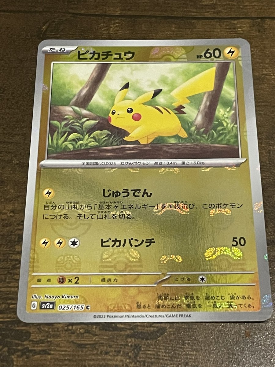 ketcha303's tweet photo. マスボピカチュウ自引きした。 https://t.co/tueKWPzZ3a