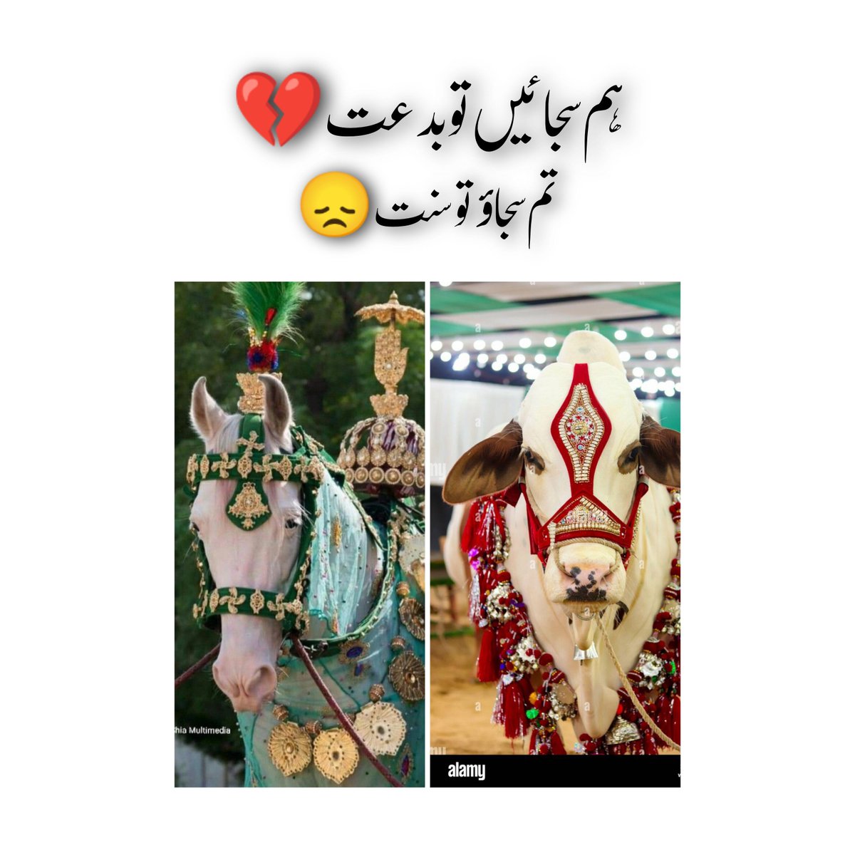 NoorFatima_110's tweet photo. تم سجاؤ تو سنت ہم سجائیں تو بدعت
It means you are all wrong..?
#Makkah #Eid
#Bakra_Eid https://t.co/1QMSZOED2e
