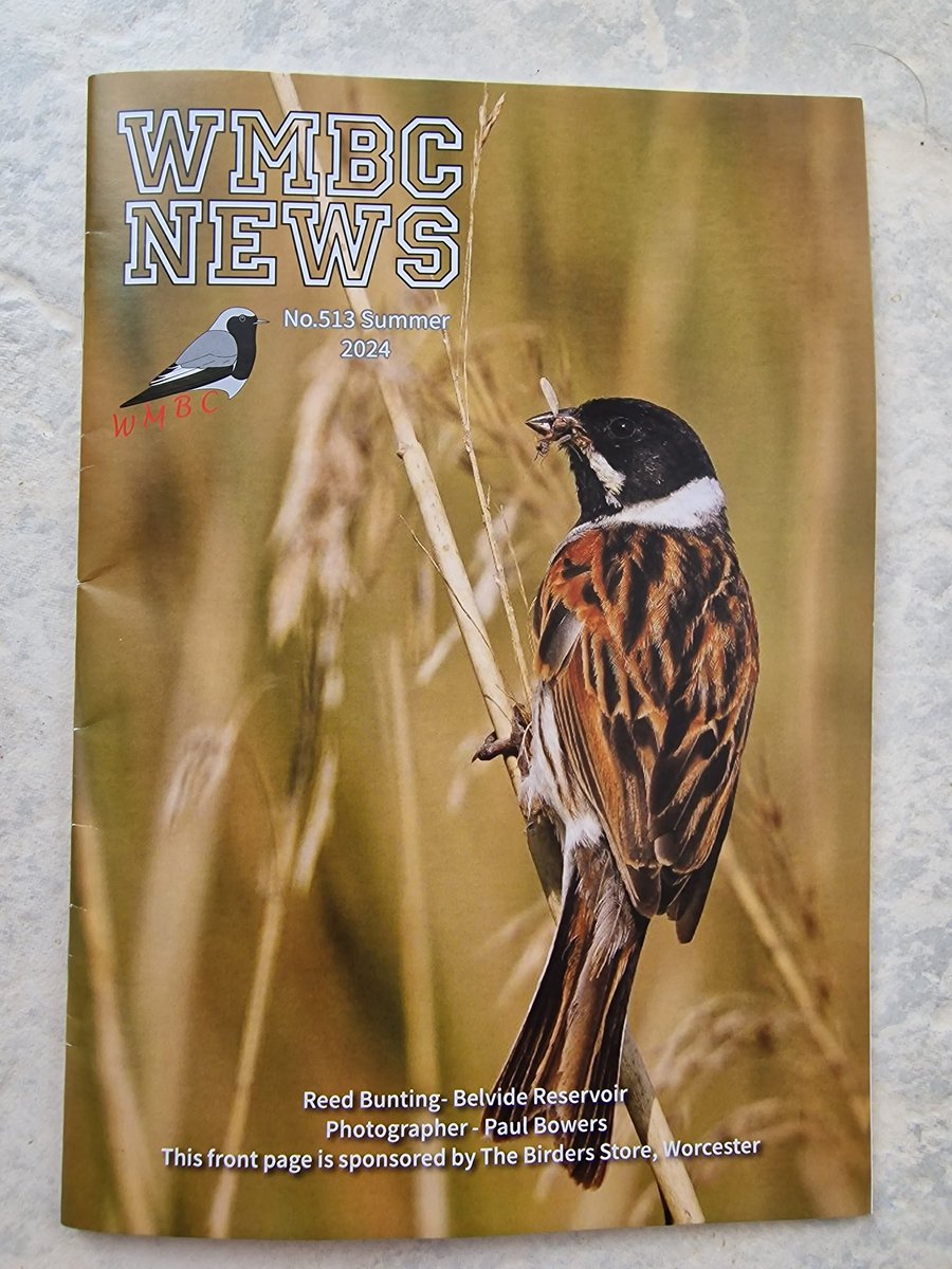 West Midland Bird Club tweet media