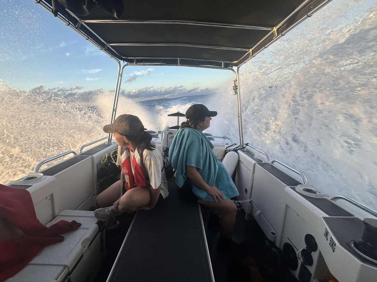 DHSC Project tweet media