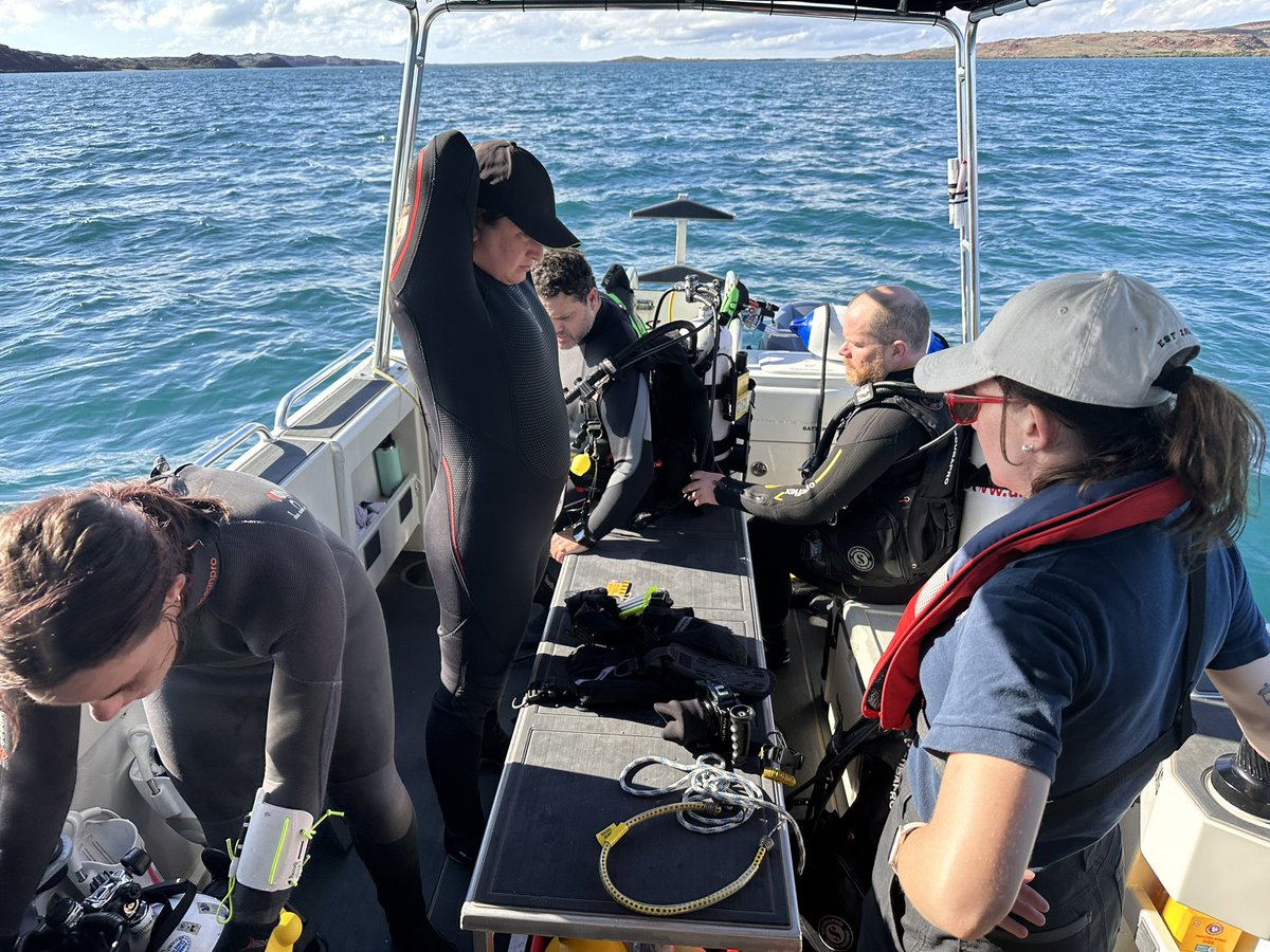 DHSC Project tweet media