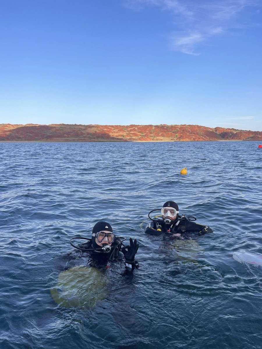 DHSC Project tweet media