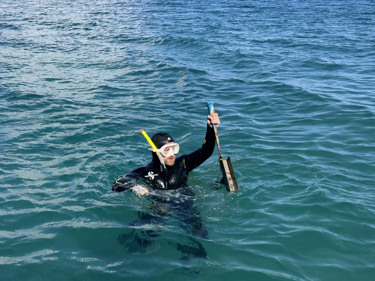 DHSC Project tweet media