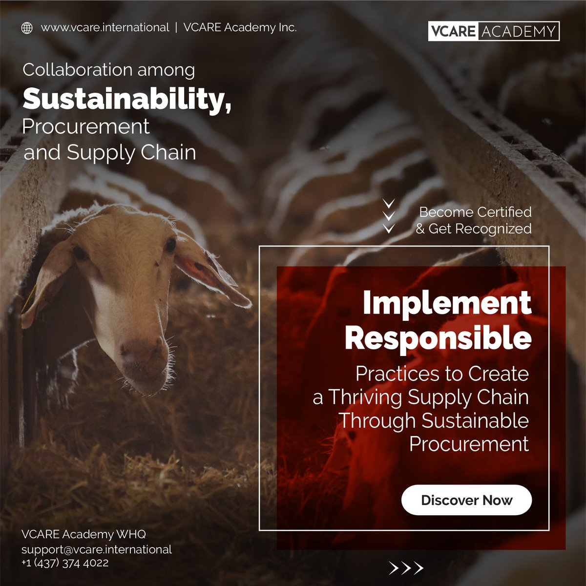 🌱 Implement responsible practices to create a thriving supply chain through sustainable procurement. ♻️✨

👉 Learn more about SPSC Program 🌐 vcare.international/mmc/collaborat…