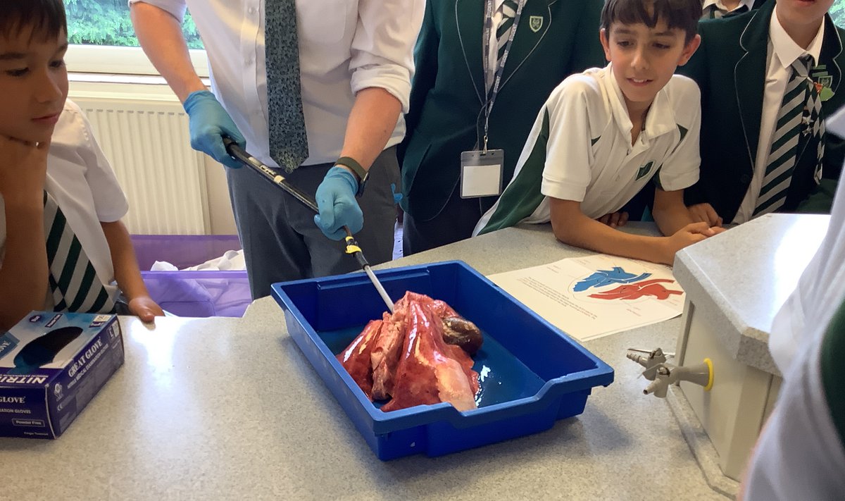 SHS Science tweet media