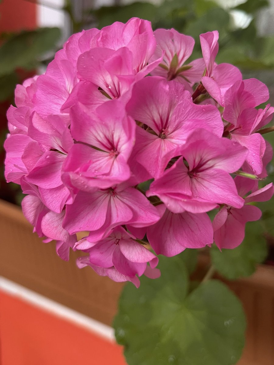 <a href="/Edazer61/">Eda Özmen</a> bu size gelsin