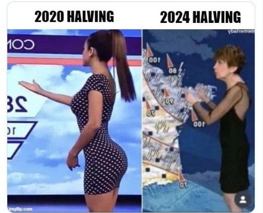 BitchezNFT's tweet image. It's Saturday! 🎉 
Share your favorite memes of the week in the comments. We'll start with ours! 🤓
#CryptoMemes #good_mprning