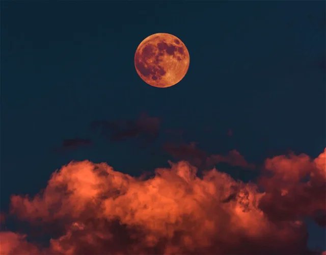 demonologist666's tweet image. NEXT FULL MOON:  STRAWBERRY MOON: 
Saturday, 21 June 2024
Strawberry  Moon, June full moon this year will occur right after Solstice  the beginning of the summer season in  the Northern  Hemisphere.
Bathe your crystals in the full moonlight to give them More strength - Fred Batt