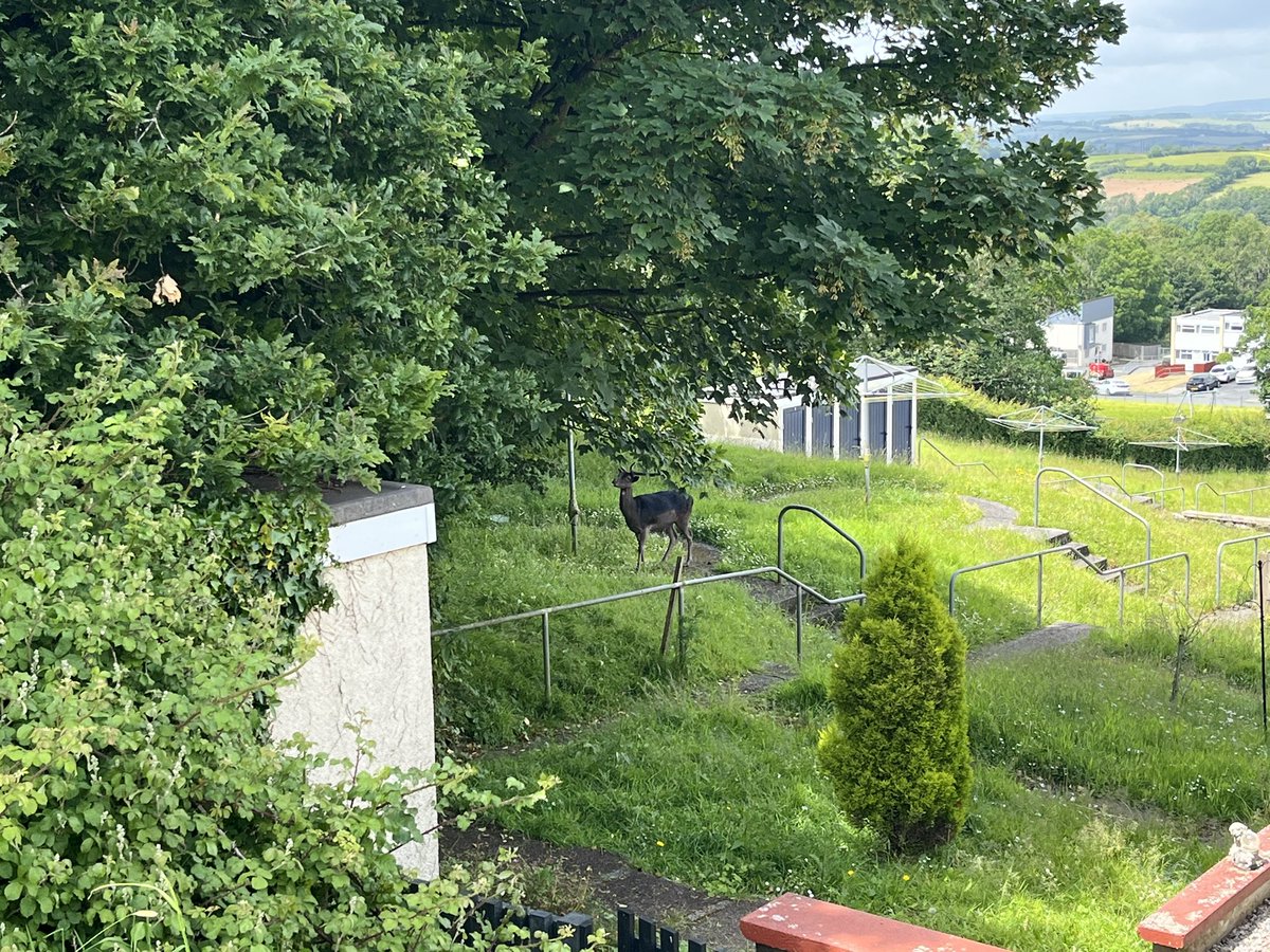 Charlie :) tweet media