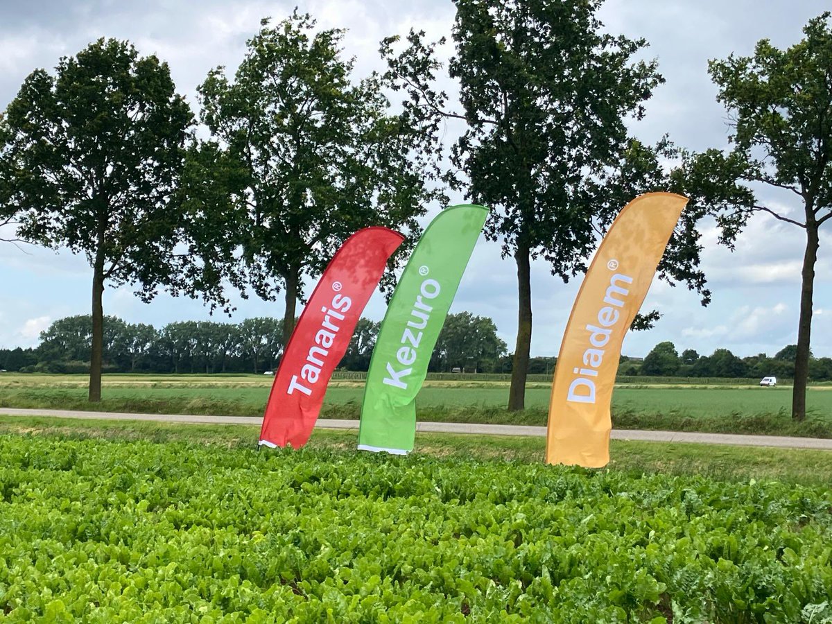 BASF heeft breed middelenpakket voor teelt van bieten met nieuwe ontwikkeling Diadem
