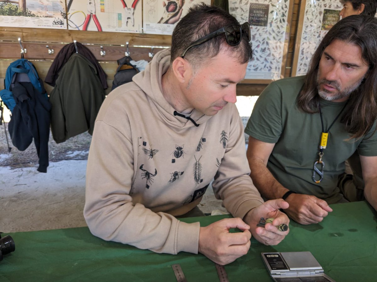 A.M.A. de Andalucía y un representante de #EuropeanRangerFederation, participan en  curso de #anillamiento científico  organizado por el @ICNF_oficial en el Alentejo.
Hermanamiento entre la <a href="/AAMAA_es/">AAMAA</a> <a href="/AEAFMA/">Asociación🇪🇦Agentes Medioambientales</a> y la Associação Portuguesa de Guardas e @VigilantesdaNatureza (APGVN)
