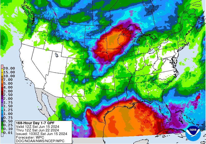Bill Borghoff tweet media