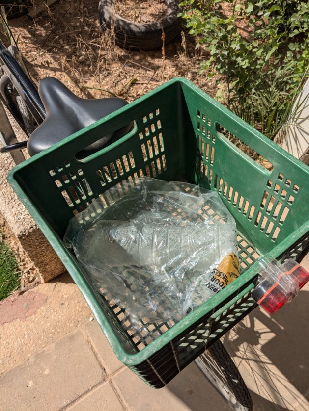 Chaim Lev-Ari tweet media