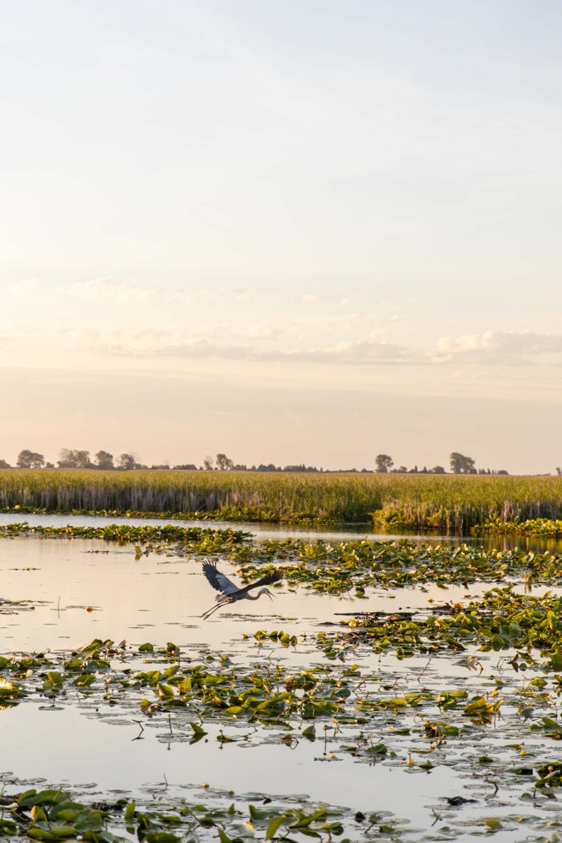 Point Pelee National Park, Parks Canada tweet media