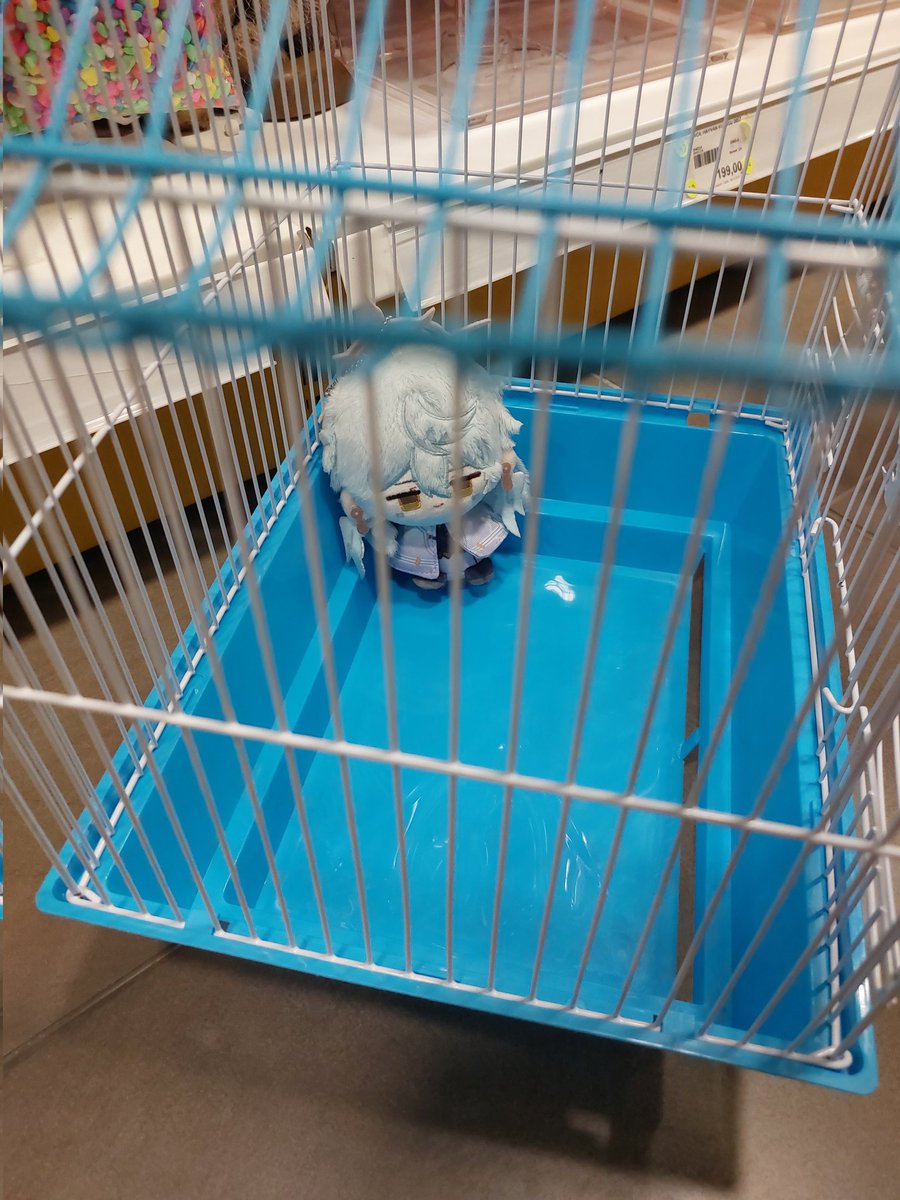 centipedeluciel's tweet photo. caged bird https://t.co/flTnkWpZXh