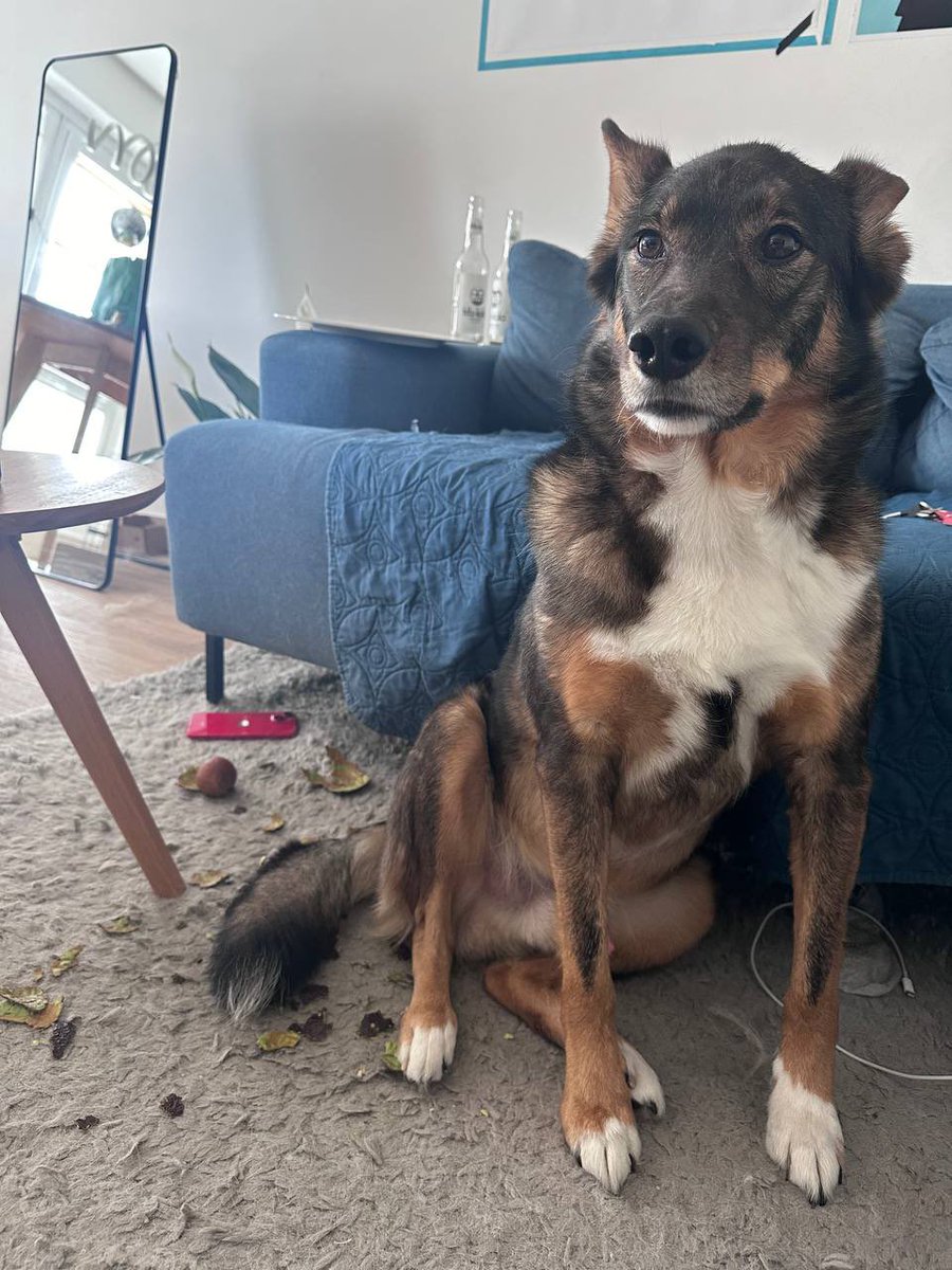 Денис Чужой tweet media