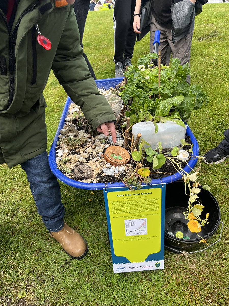 Horticulture at SOTS tweet media