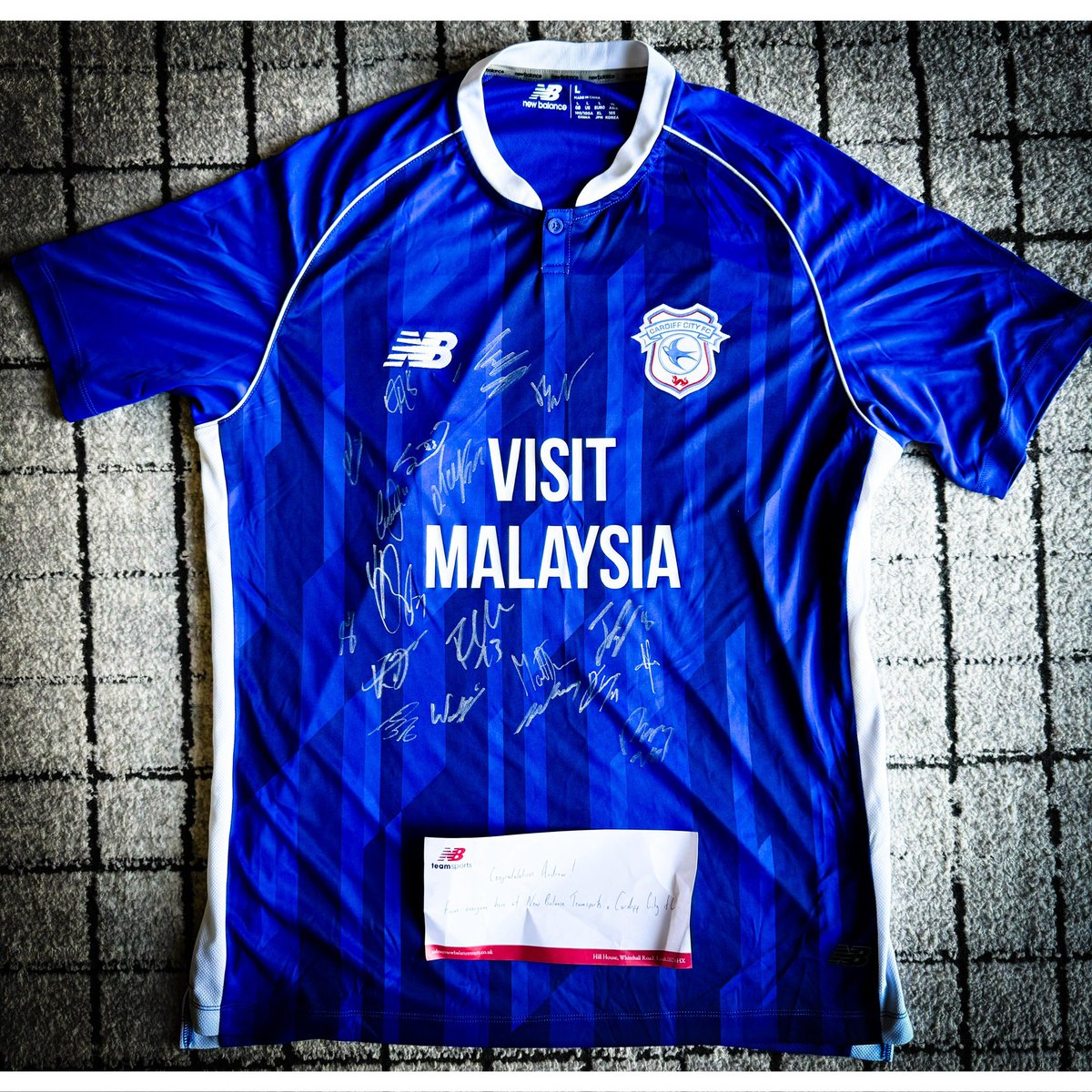 HFeddieHF's tweet image. Cheers @NBTeamsportsUK and @CardiffCityFC for the prize /0\ \0/ /0\