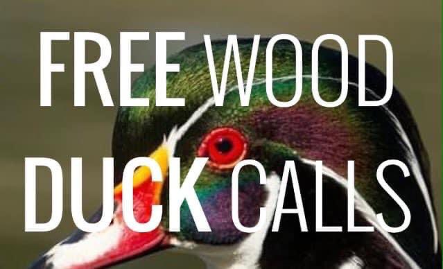 Our annual free wood duck promotion ongoing at beavercreekgamecalls.com
