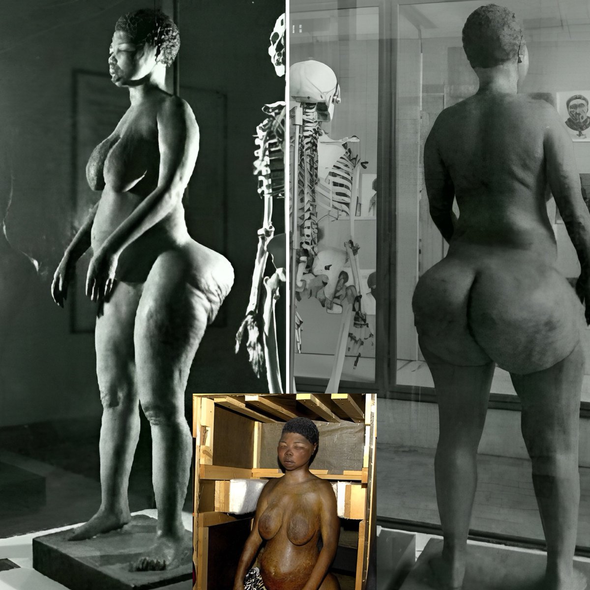 Sarah Saartjie Baartman, a name that echoes through history like a haunting melody. Born in the Eastern Cape of South Africa around 1789, her life took a dark turn when she was taken from her homeland and paraded around Europe as a human exhibit.   

In the early 19th century,