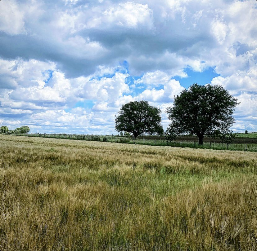 EMeirsch's tweet photo. #vrtweer #gooik #mountainbike 12u28 https://t.co/XwLJp8iduA