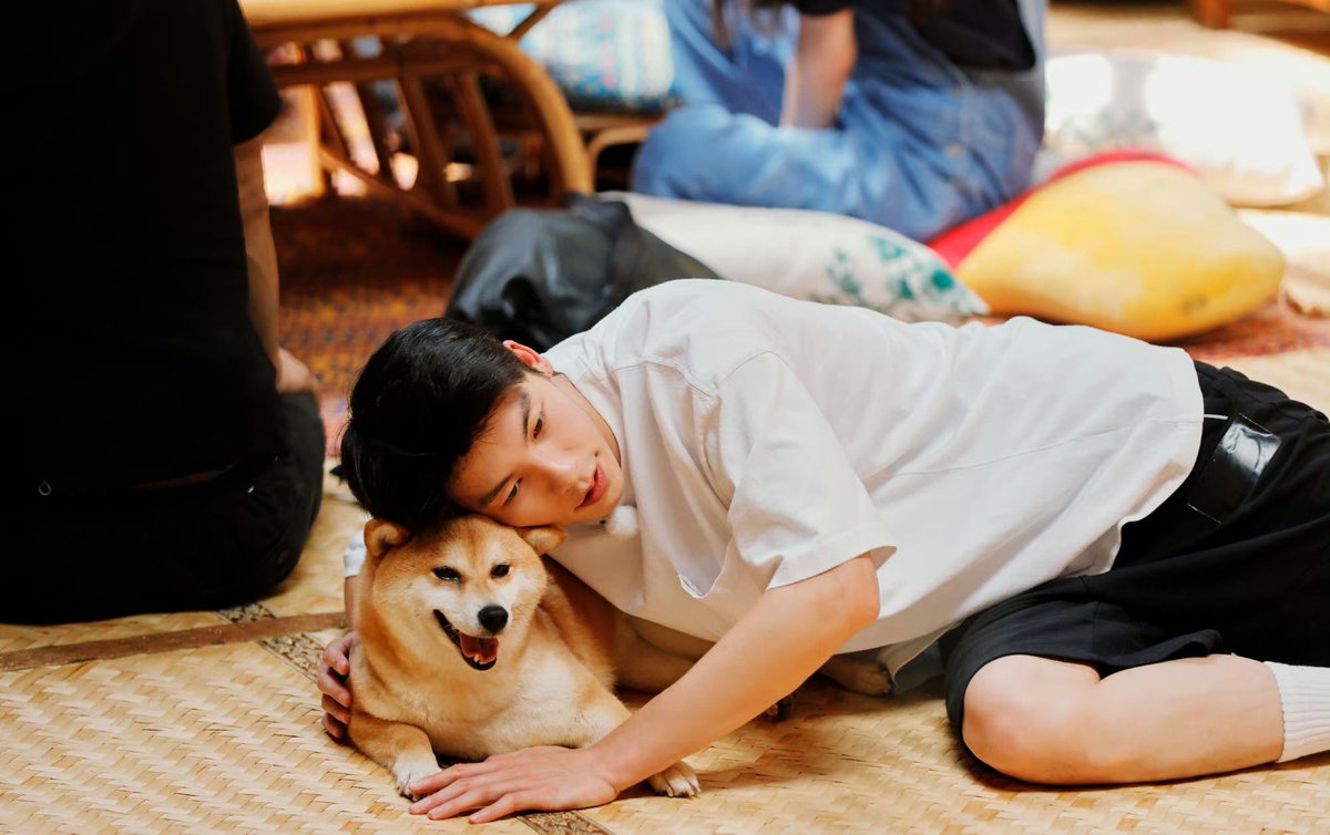 유독 이때 말랑뽀둥순딩이 같음*.☆⸜(⑉˙ᗜ˙⑉)⸝♡.*광한이 예능 아무거나 한국에서 하나 찍어주면 조켓다。。
묘하게 사진 보고 있으면 마음이 편-안함 

#허광한 #許光漢