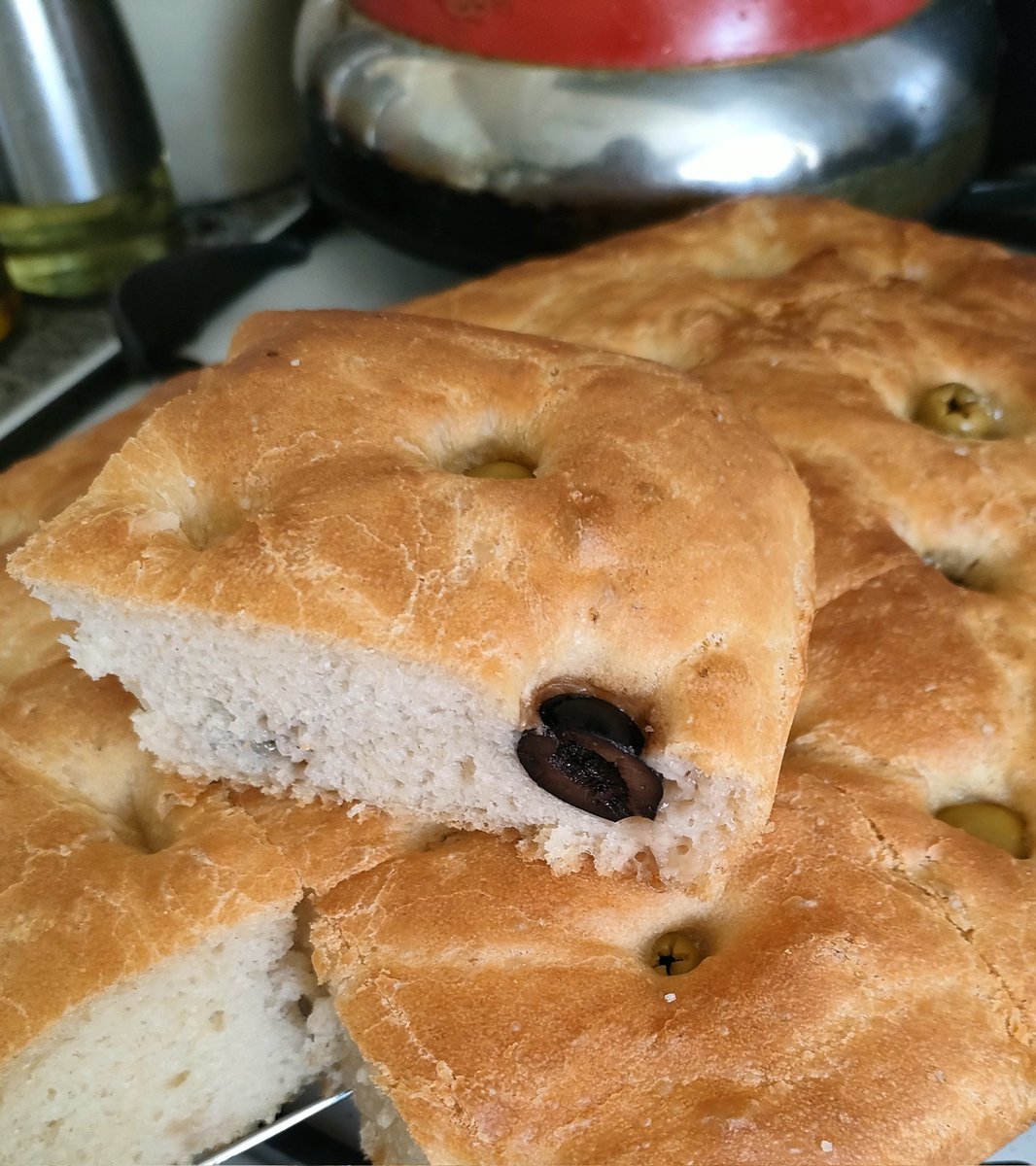 michelle jacques tweet media