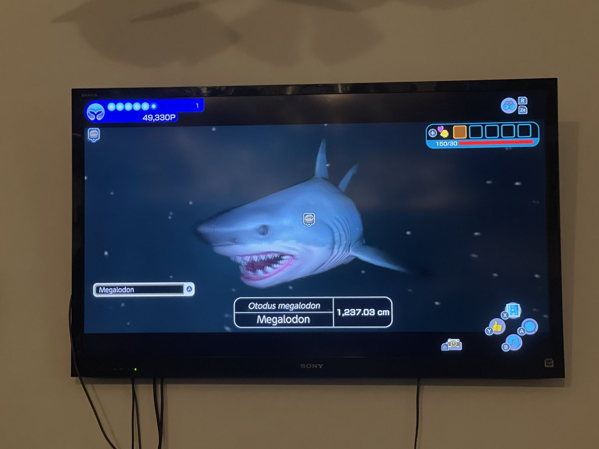 SchandeThompson's tweet photo. @AVNJOfficial I just found unarguable evidence that Megalodons are still alive!!! If they weren’t extinct then obviously they wouldn’t have put it in the Endless Ocean game! Factsopedia was right I’ll along. XD 

(Obvious sarcasm, love your videos :3) https://t.co/AFoOCEh34o