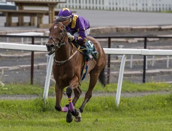 Beechmore_BS's tweet photo. EMPRESS BLING (IRE) 👸👑 sheds her maiden tag in impressive style on 3y-o debut over 1600m @ovrevollgalopp. Purchased @Tattersalls1766 Craven 2y-o sale. Norwegian 1,000 Guineas bound 🇳🇴 Congratulations to H.C Axel Melbye @siljastoren and jockey Manuel Martinez. Exciting times 🐎 https://t.co/RDm366d6gQ