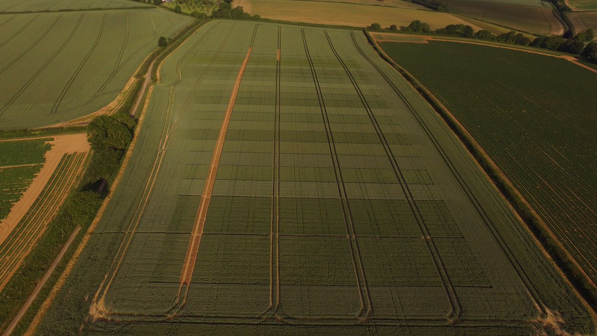 10 Days to go,at the Somerset site on Tuesday 25th June before our Big plot variety /fungicide tours, soil pit,machinery &amp; refreshments.
Register ⬇️

agricentre.basf.co.uk/en/News-Events…

#CMP #BASF # Wessex Water