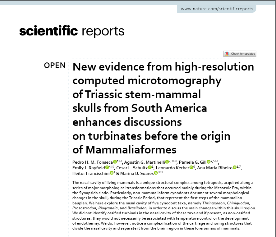 With great pleasure, I present the first paper resulting from my PhD!

A partnership with researchers from UFRGS, <a href="/BristolPalaeo/">UoB Palaeobiology</a>, Museu de Ciencias Naturales (Argentina), <a href="/cappaufsm/">CAPPA - Centro de Apoio à Pesquisa Paleontológica</a> and Fundação Zoobotânica (RS)  

rdcu.be/dKSM7