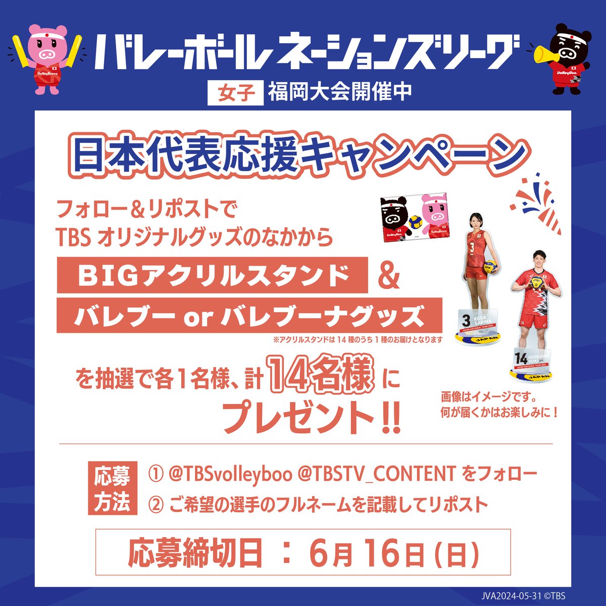 TBSTV_CONTENT's tweet photo. ㊗️‼日本代表応援キャンペーン📢

TBSショッピングにて販売中の
🏐BIGアクリルスタンド
🏐バレブーバレブーナグッズ
のセットを抽選で14名様にプレゼント‼

① @TBSvolleyboo @TBSTV_CONTENT をフォロー
② ご希望の選手フルネームを記載して本投稿を引用リポスト

#ネーションズリーグ https://t.co/3y30xlpOqb
