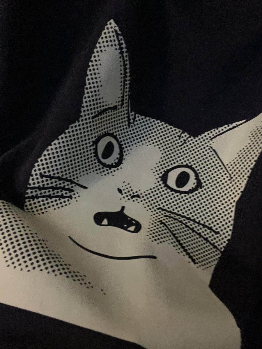 冒険者しょーた tweet media