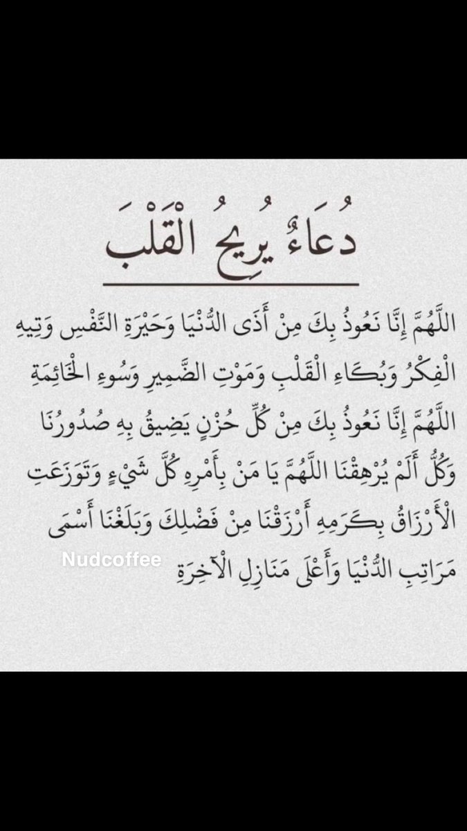 دليلك لمقاهي ومطاعم الرياض ☕️🍽 tweet media