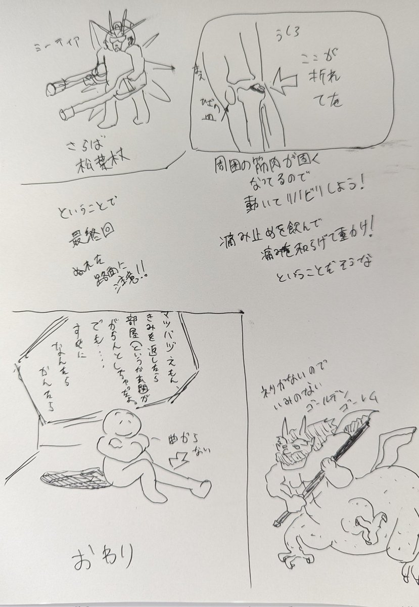 へろへろ療養日記、松葉杖返したからホントに完結
あとは運動して筋肉硬くならないようにして
膝が曲がる!階段ひょいひょい昇降できる!ってならなきゃだ… 