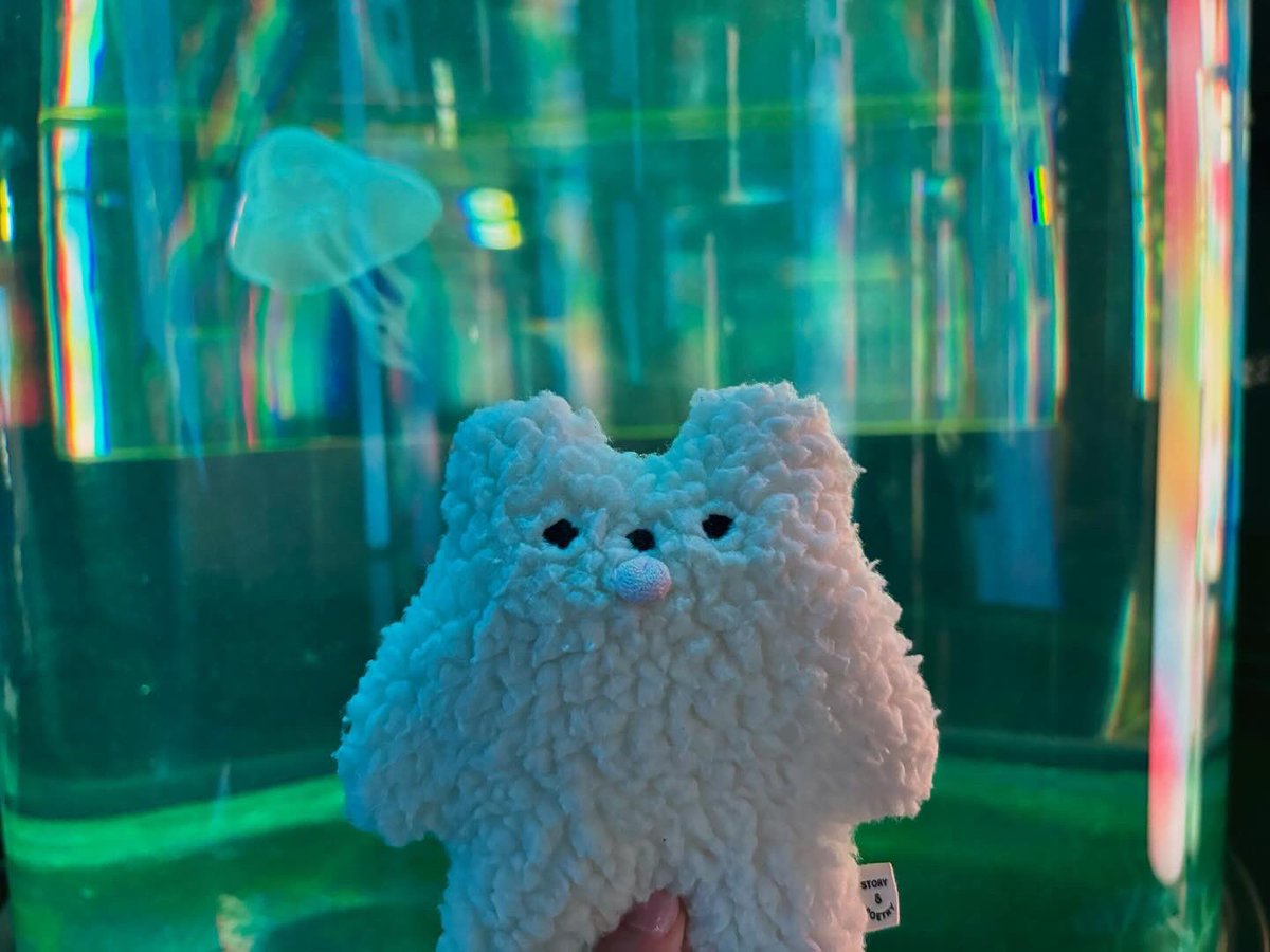 PEROBEAR_'s tweet photo. 🐟
#ペロベア #PEROBEAR  #ブルーブルーエ　#bluebluet #ぬい撮り #ぬいぐるみ #ぬいどり #ぬいすたぐらむ #ぬい撮りさんと繋がりたい #水族館 #海 #dmmかりゆし水族館 https://t.co/ARZTL40kdP