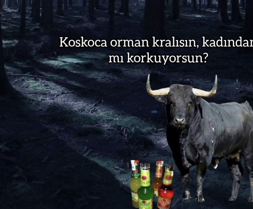 ofulkemof's tweet image. #kisahikaye #fabl #hanimcilik #kocam