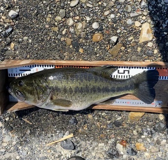 kMWExwo6A2cB2du's tweet photo. #Bassing-road
#七色ダム https://t.co/l2m280VL4v
