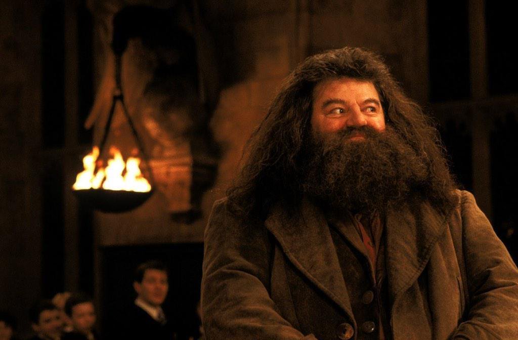 sihirbakanii's tweet photo. Biri Harry Potter'dan bahsedince yüz ifadem https://t.co/IUS95qBgbA