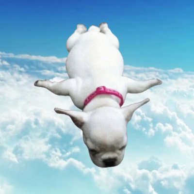 <a href="/lynk0x/">lynk</a> DOG TAKES $FLIGHT EVERYWHERE 
<a href="/dogtakesflight/">dog takes flight</a> 
6pn3f9LSbc3dUmZjhrP3ouaeCejzZ2z3uWrCAc1ppump