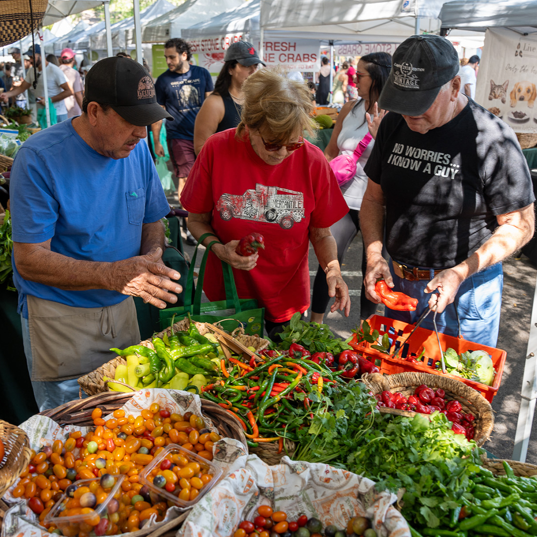 Village of Pinecrest tweet media